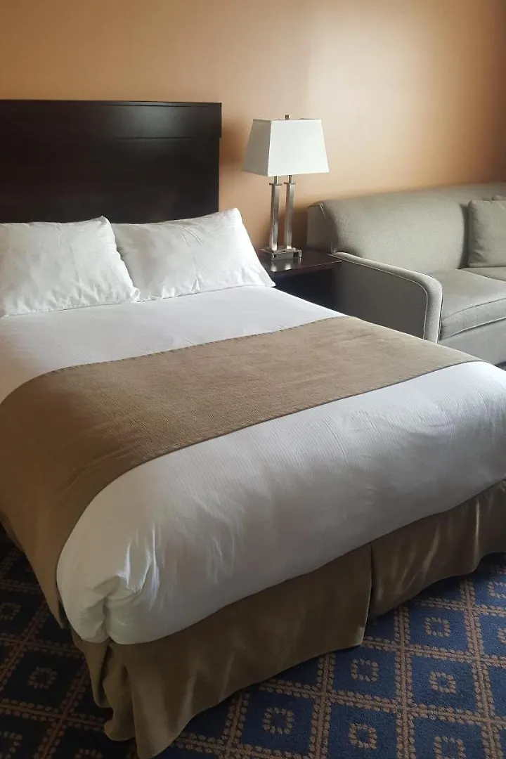 Chateau Louis Hotel & Conference Centre Edmonton 3*,
